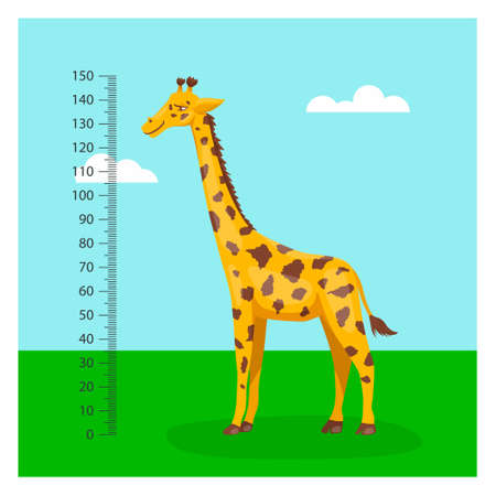 Vector Cartoon Cute Giraffe with Ruler, Growth Meter. Full Length Giraffe, Design Template. Child, Kid, Baby Concept. Tall Funny Hand Drawn Giraffe. Children s Illustrationのイラスト素材