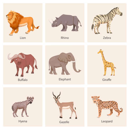African Savannah Wild Animal Set. Lion, Rhino, Zebra, Buffalo, Giraffe, Flamingo, Leopard, Gazelle, Elephant, Hyena. Flat Vector Illustration. Animals of Africa. Savannh Safari Conceptのイラスト素材