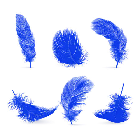Vector 3d Realistic Blue Fluffy Feather Set Isolated on White Background. Design Template of Flamingo, Angel, Bird Detailed Feathers. Lightness,Freedom Conceptのイラスト素材
