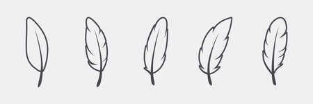 Vector Fluffy Feather Silhouette Icon Set Isolated. Design Template of Flamingo, Angel, Bird Feathers. Lightness, Freedom Conceptのイラスト素材