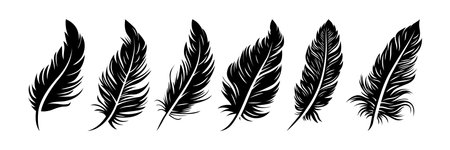 Vector Different Black Fluffy Feather Silhouette Icon Set Closeup Isolated on White Background. Design Template of Flamingo, Angel, Bird Feathers for Wall Paper, Textile. Lightness, Freedom Conceptのイラスト素材