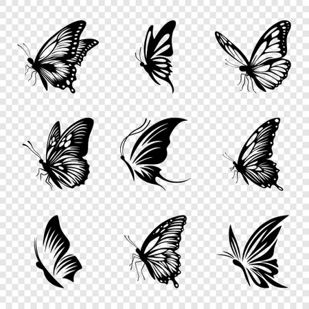 Vector Monochrome Black and White Hand Drawn Butterfly Icon Set Isolated. Butterflies Collection, Vintage Vector Design Elements of Butterfly Silhouettesのイラスト素材