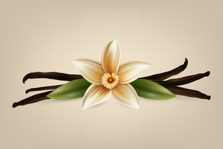 Vector 3d Realistic Sweet Scented Fresh Vanilla Flower with Dried Seed Pods and Leaves Set Closeup Isolated. Distinctive Flavoring, Culinary Concept. Front Viewのイラスト素材