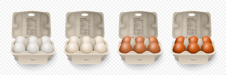 6 Six Vector 3d Realistic White, Brown Chicken Eggs in Opened Carton Paper Box, Container, Packaging. Textured Chicken Egg Set, Isolated. Vector Different Color Whole Eggs. Egg Pack in Front Viewのイラスト素材