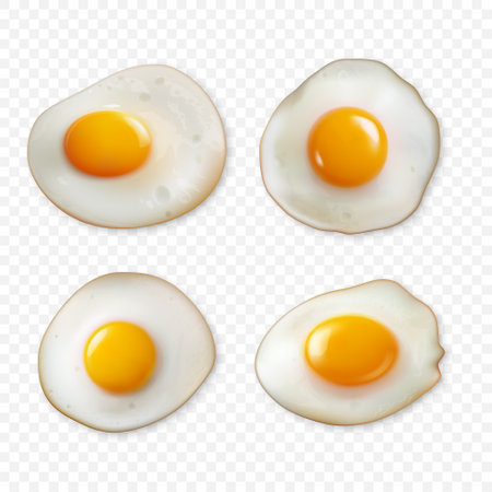 Vector 3d Realistic Eggs, Fried Egg Collection. Egg Icon Closeup, Isolated, Front, Top VIew. Fried Eggs Setのイラスト素材