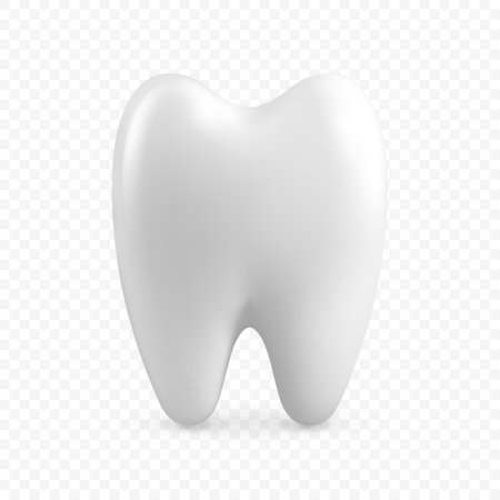Vector 3d Realistic Tooth. Dental Inspection Banner, Plackard. Tooth Icon Closeup Isolated. Medical, Dentist Design Template. Dental Health Conceptのイラスト素材
