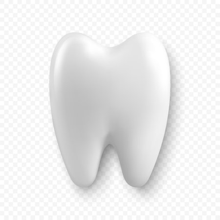 Vector 3d Realistic Tooth. Dental Inspection Banner, Plackard. Tooth Icon Closeup Isolated. Top, Front View. Medical, Dentist Design Template. Dental Health Conceptのイラスト素材