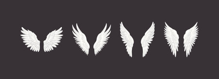 Vector White Flat Wing Icon Set. Vintage Angel Wings, Icons, Design Template, Clipart Collection....