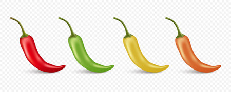 Vector 3d Realistic Red Whole Fresh and Hot Chili Pepper Closeup Isolated on White Background. Spicy Chili Hot or Bell Pepper Design Template. Front View. Vector Illustrationのイラスト素材