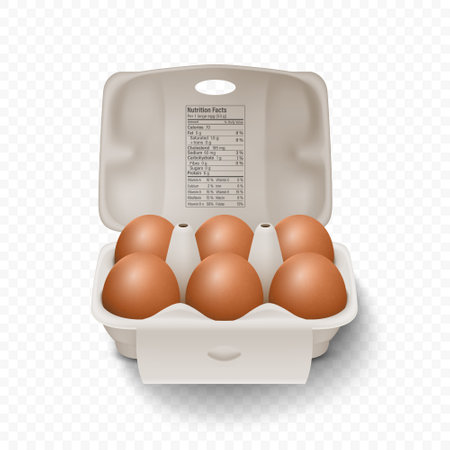 6 Six Vector 3d Realistic Brown Chicken Eggs in Opened Carton Paper Box, Container, Packaging. Chicken Egg Set, Isolated. Vector Raw Whole Eggs. Egg Pack in Front Viewのイラスト素材