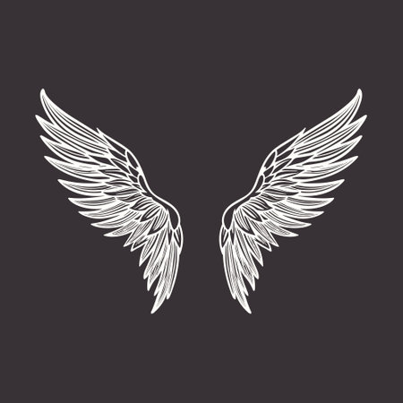 Vector Wings Icon. Vintage Angel Wings Icon, Design Template, Clipart. Cupid, Angel or Bird Wings....