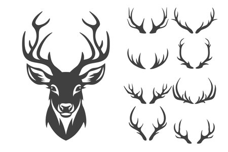 Vector Christmas Reindeer Horns, Antlers. Deer Horn Silhouettes. Hand Drawn Deer Horn, Antler Set. Animal Antler Collection. Design Elements of Deer. Wildlife Hunters, Hipster, Christmas Conceptのイラスト素材