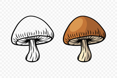 Vector Hand Drawn Cartoon Mushroom with Outline Icon Set Isolated. Mushroom Illustration, Mushrooms Collection. Magic Mushroom Symbol, Design Templateのイラスト素材