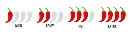 Vector Spicy Chili Pepper Levels. Red Jalapeno Pepper Strength Scale Indicator with Mild, Spicy, Hot and Extra Positionsのイラスト素材