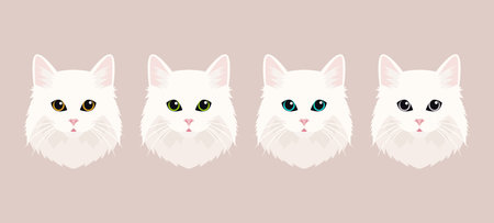 Vector Flat Cats Eye of a White Cat. Cat Face with Eyes, Nose, Whiskers Icon Set Closeup Isolated. Cat in Front Viewのイラスト素材