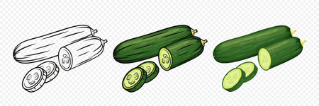 Flat Vector Green Fresh Whole and Sliced Cucumber Set. Design Template of Fresh Cartoon Cucumber, Detailed Vector Illustrationのイラスト素材