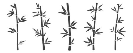 Vector Silhouette Bamboo Stalks with Leaves Set. Asian Tropical Bamboo Plant Vector Illustration. Jungle Nature Decorative Elements for Eco Design, Spa, Zen, Organic Product Packaging, Wallpapersのイラスト素材