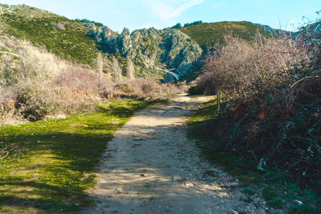 Mountain landscape with a waterfall of a river and a forest.の写真素材