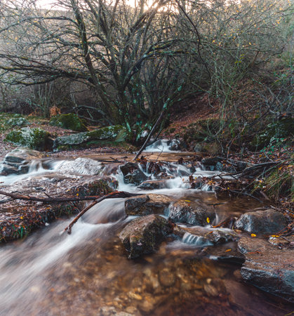 Long exposure. Mountain landscape with a waterfall of a river and a forest.の写真素材