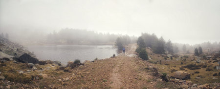 Beautiful colorful forest landscape in autumn seasonの写真素材