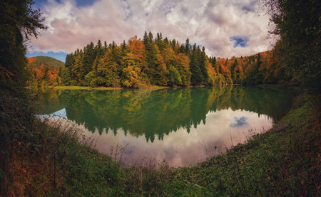 Beautiful colorful forest landscape in autumn seasonの写真素材