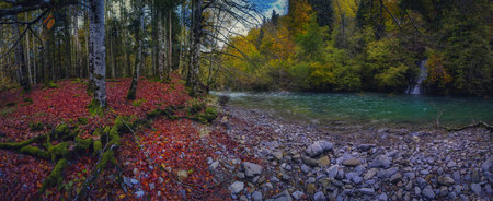 Beautiful colorful forest landscape in autumn seasonの写真素材
