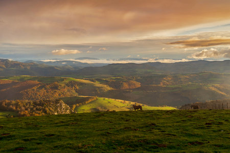 Beautiful natural landscape of the forest mountains in the summer time. Rainforest ecosystem, forested mountain. Natural scenery tropical green forest. Travel photo, nobodyの写真素材