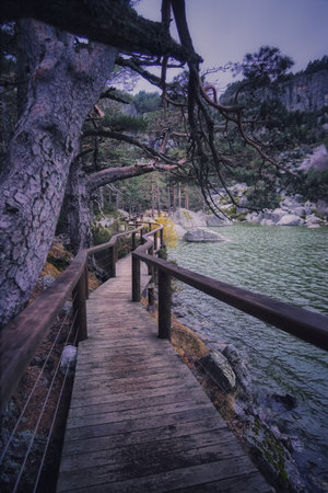 Beautiful colorful forest landscape in autumn seasonの写真素材