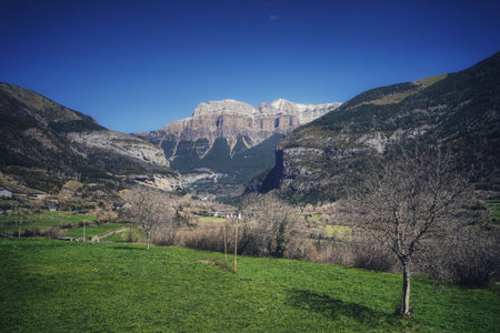 Beautiful natural landscape of the forest mountains in the summer time. Rainforest ecosystem, forested mountain. Natural scenery tropical green forest. Travel photo, nobodyの写真素材