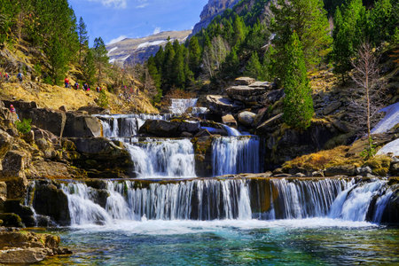 Beautiful natural landscape of the forest mountains in the summer time. Rainforest ecosystem, forested mountain. Natural scenery tropical green forest.の写真素材