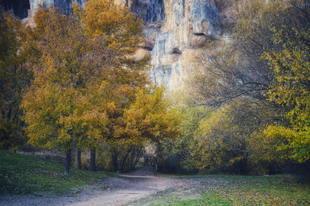 Beautiful colorful forest landscape in autumn seasonの写真素材
