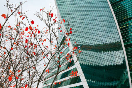 Skyscraper with glass facade in winter. Abstract view of modern building exterior design close-up.の写真素材