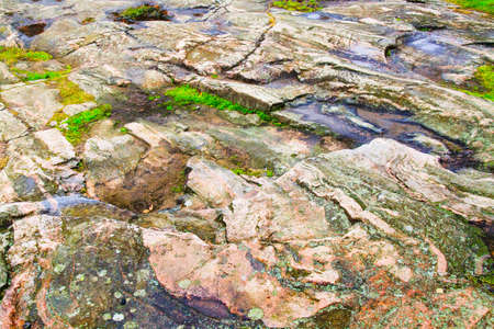 Stone texture as abstract grunge rough background. Close-up view of fjord shore. Natural granite hard rock surface. Multicolor old lichen and moss on surface. Water, cliff, ground floor. Nordic nature.の写真素材
