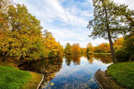 Autumn landscape. Beautiful yellow and green leaves. Colorful forest in fall season. Season nature. City park.の写真素材