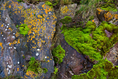 stone texture. Close-up view of cliff shore. natural hard rock surfaceの写真素材
