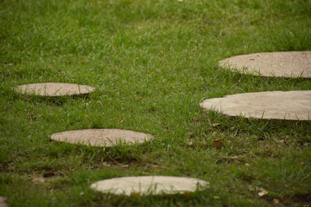 walkpath design with green grass backgroundの写真素材