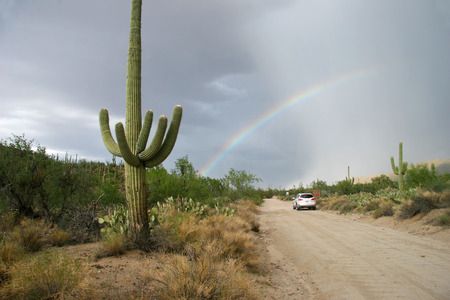 Rainbow Over Desert Road in Saguaro National Park - Tucson, Arizonaの写真素材