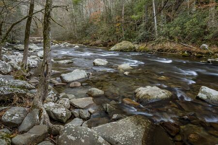 Stream Winding Through a Forest in Late Autumn - Smoky Mountains National Park, Tennessee