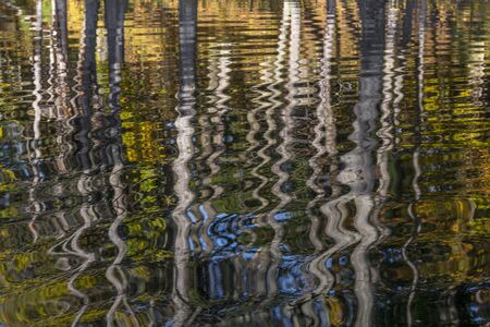 Autumn Trees reflecting in a river - Pinery Provincial Park, Ontario, Canada