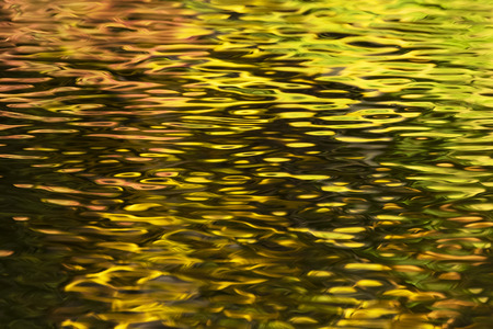 Reflection of trees on an autumn river - Ontario, Canada
