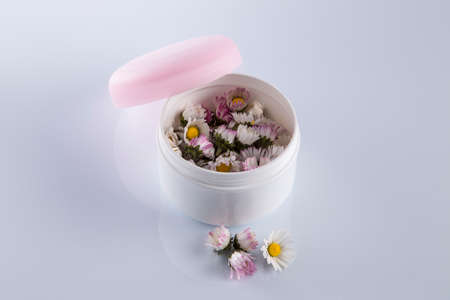 Daisies or Bellis Perennis in a cosmetic cream box: beauty goes organicの写真素材