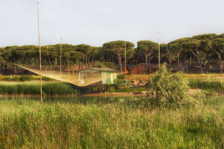 Fishing shack on channels to Adriatic sea among canes and pines in Italian seasideの写真素材