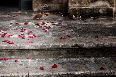 Just married: rose petals and rice grains on the steps of a staircaseの写真素材