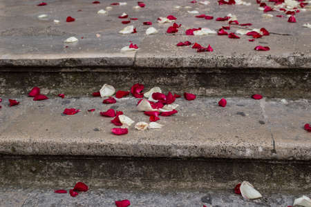 Just married: rose petals and rice grains on the steps of a staircaseの写真素材