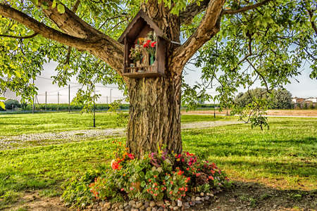 Votive aedicula devoted to the Blessed Virgin Mary on a tree near the medieval countryside church of Campanile, located in the village of Santa Maria in Fabriago in Emilia Romagna region in northern Italyのeditorial素材