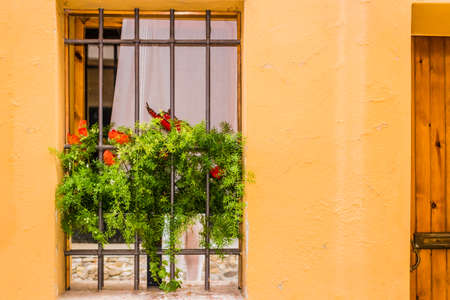 A window on yellow painted wall fenced by grey iron grating: white vase with fake plastic green...