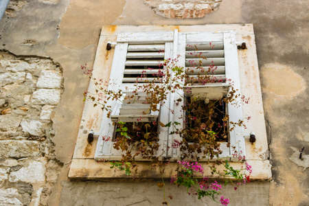 Typical istrian architecture: walls, houses, windows, stones and streets of Porec in Croatia and...