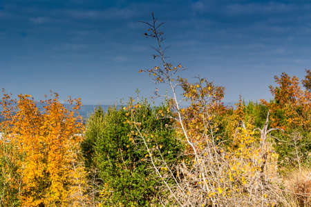 Views in Mount Podbrdo, the  Apparition hill overlooking the village of Medjugorje in Bosnia ed Erzegovinaの写真素材