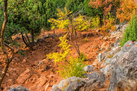 Views in Mount Podbrdo, the  Apparition hill overlooking the village of Medjugorje in Bosnia ed...