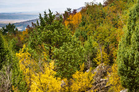 Autumn View of the Krizevac (Cross) Mountain in Medjugorje in Bosnia ed Erzegovina: brownish trees,...